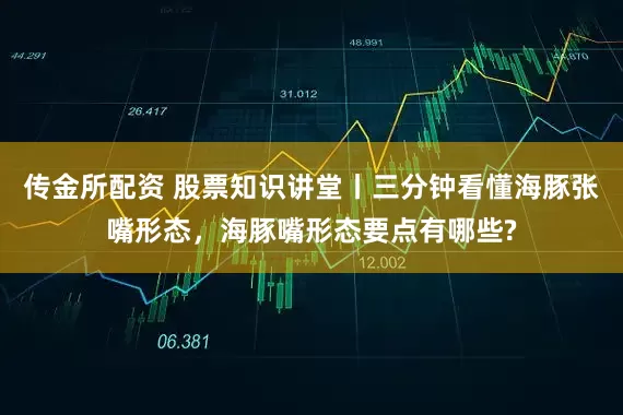 传金所配资 股票知识讲堂丨三分钟看懂海豚张嘴形态，海豚嘴形态要点有哪些?