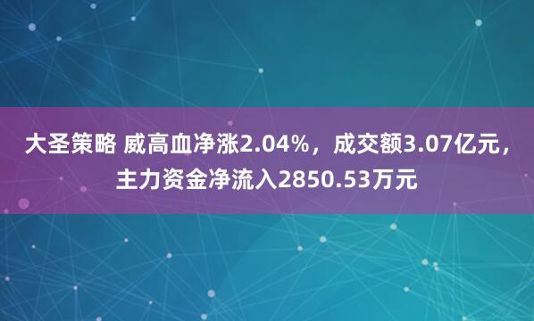 大圣策略 威高血净涨2.04%，成交额3.07亿元，主力资金净流入2850.53万元