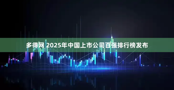 多得网 2025年中国上市公司百强排行榜发布